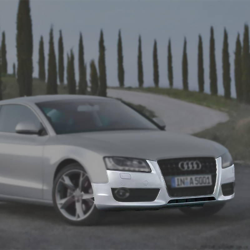 قالب حقن البلاستيك لعام 2009 لقالب المصد الأمامي Audi A5